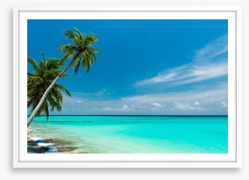 Paradise lagoon