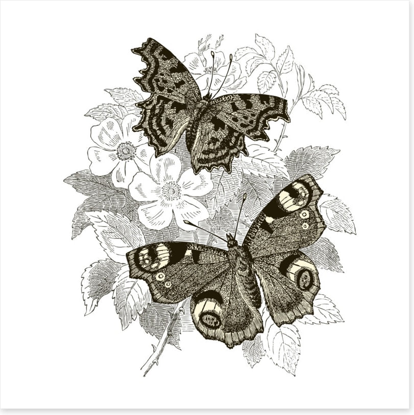 Butterfly spots