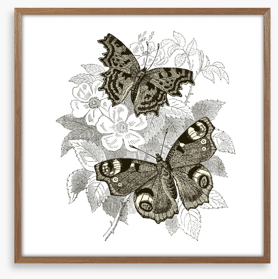 Butterfly spots