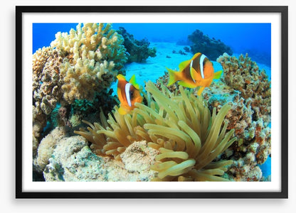 Underwater