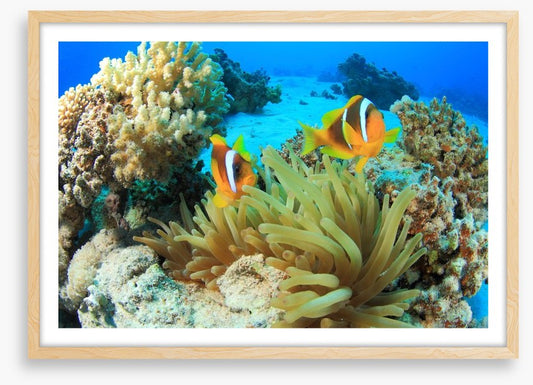 Underwater
