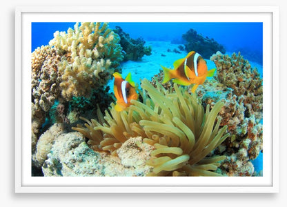 Underwater