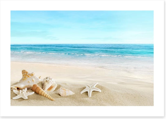 Seashell seascape