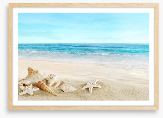 Seashell seascape