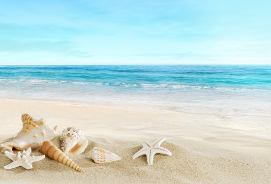 Seashell seascape