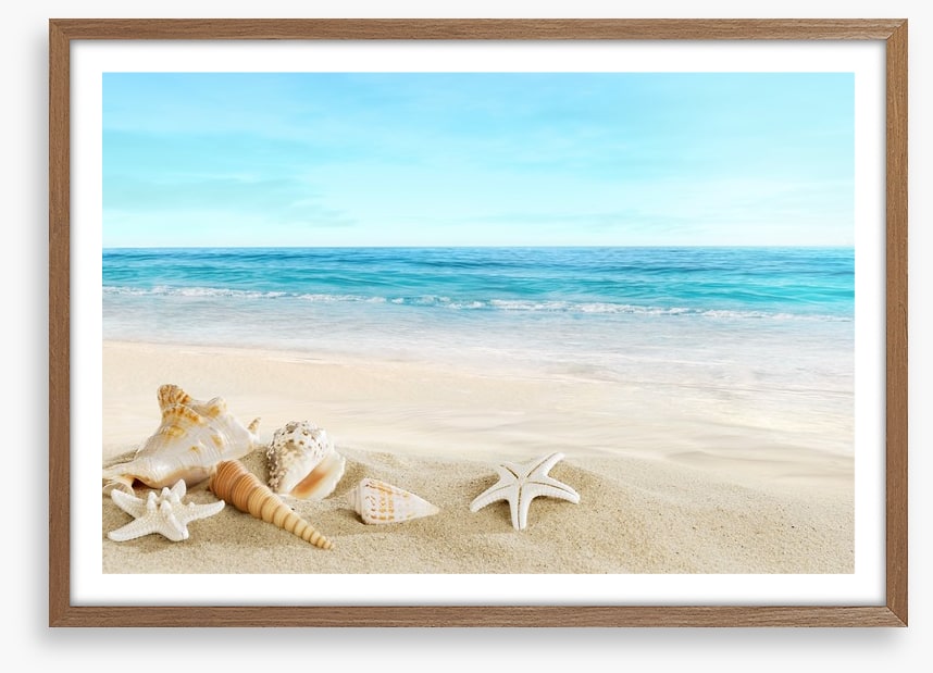 Seashell seascape