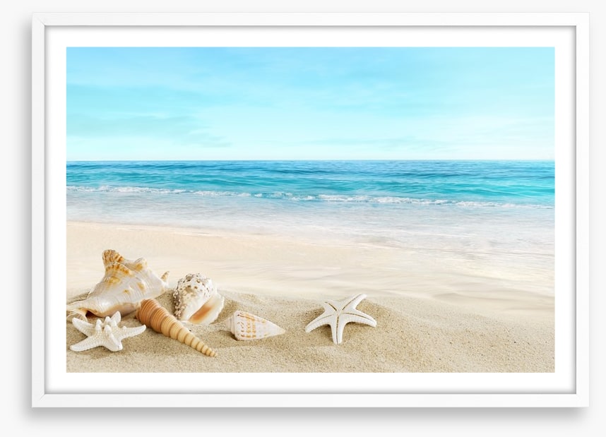 Seashell seascape