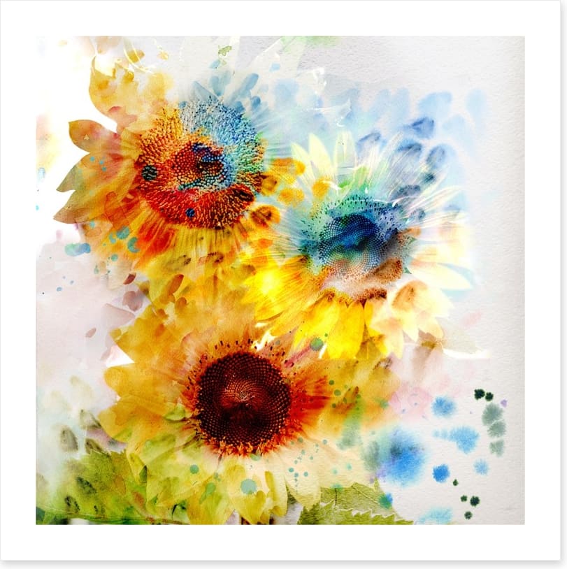 Sunflower days