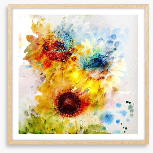 Sunflower days