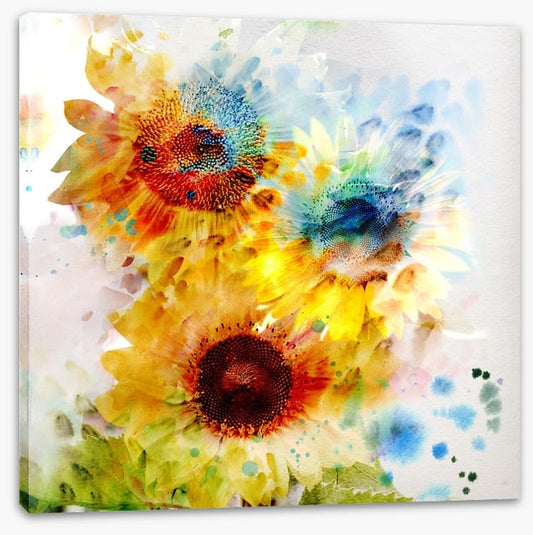 Sunflower days