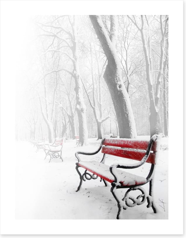 Snowy red bench