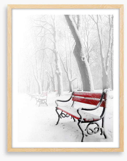 Snowy red bench