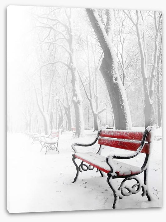 Snowy red bench