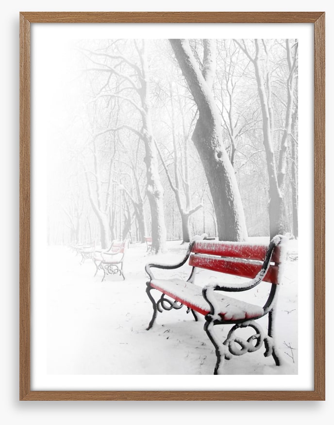 Snowy red bench