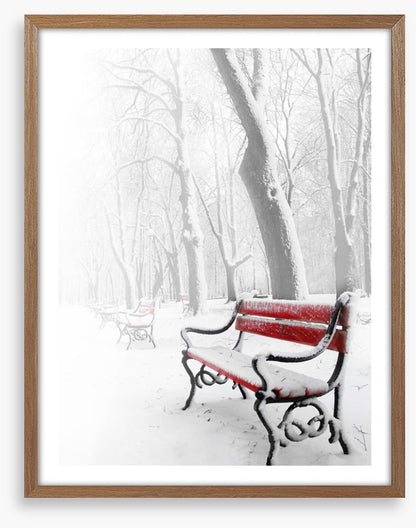 Snowy red bench