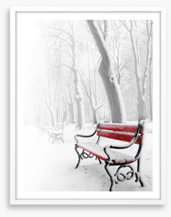 Snowy red bench