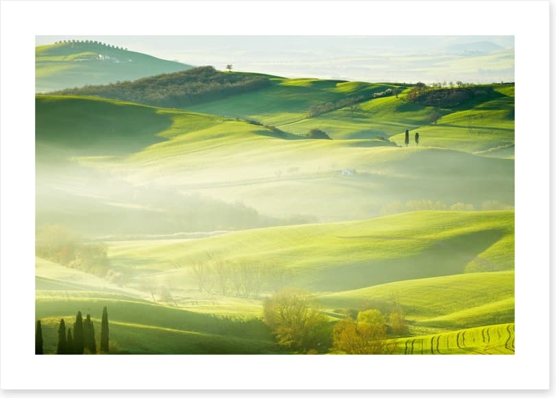 Early morning mist