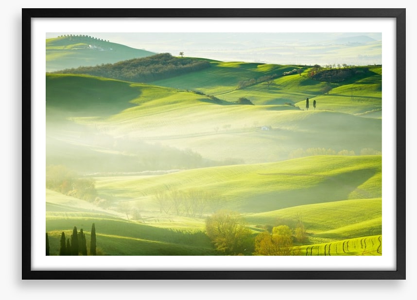 Early morning mist