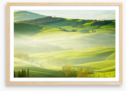 Early morning mist