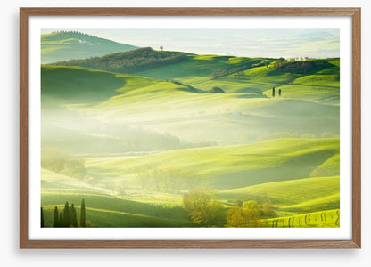 Early morning mist
