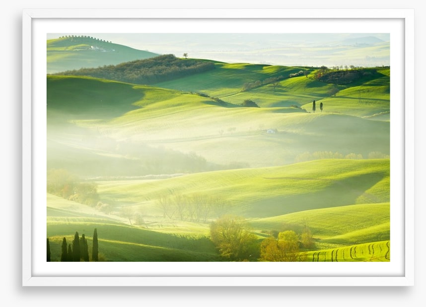 Early morning mist