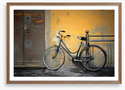 The old Italian bicycle