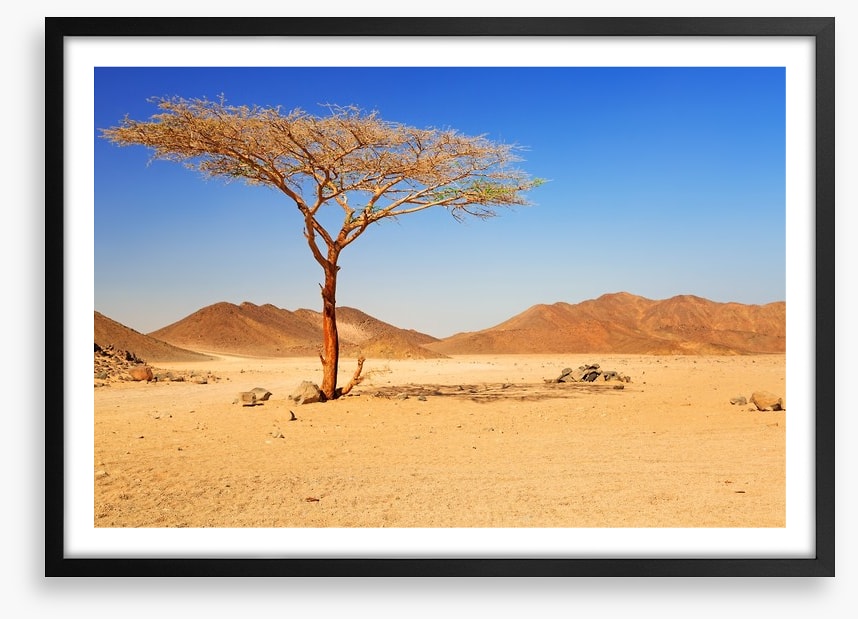 Desert