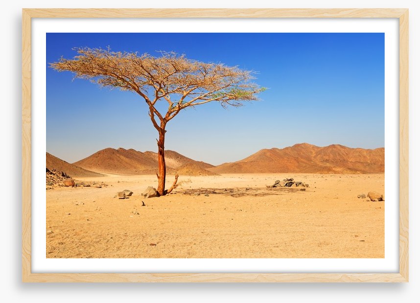 Desert