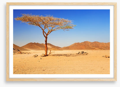 Desert