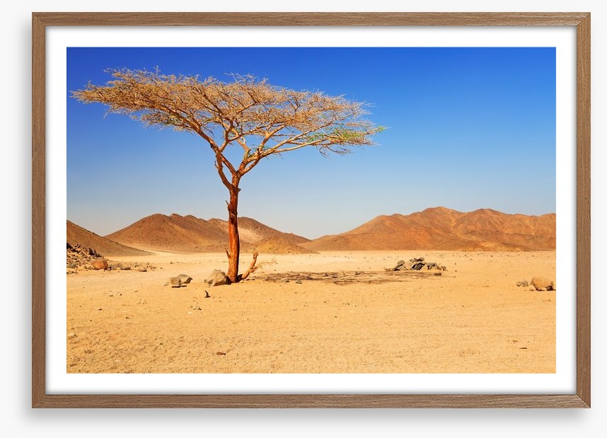Desert