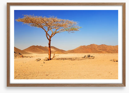 Desert