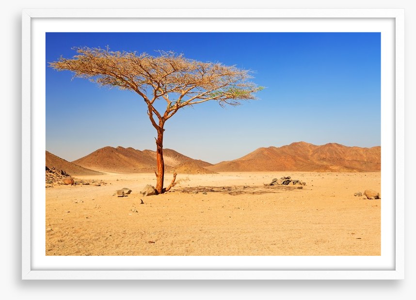 Desert