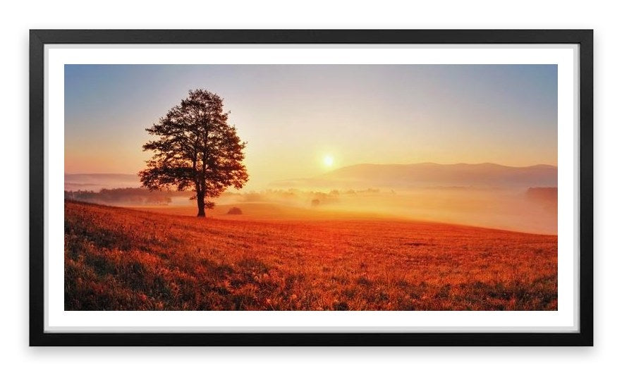 Lone tree in the sunrise meadow