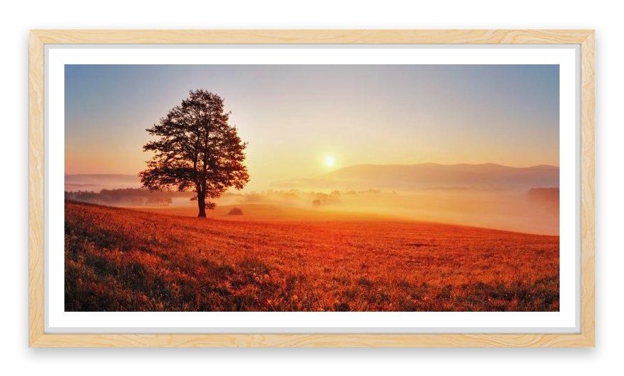 Lone tree in the sunrise meadow