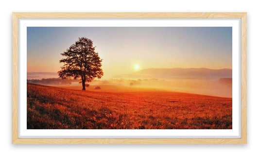 Lone tree in the sunrise meadow