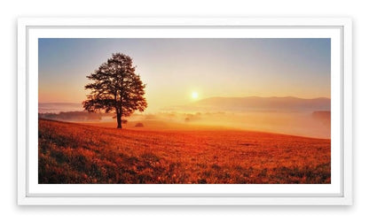 Lone tree in the sunrise meadow