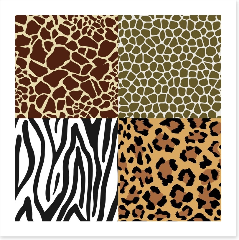 Animal Print