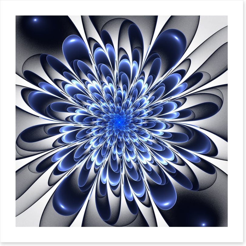 Starlight bloom