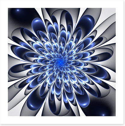 Starlight bloom