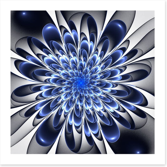 Starlight bloom