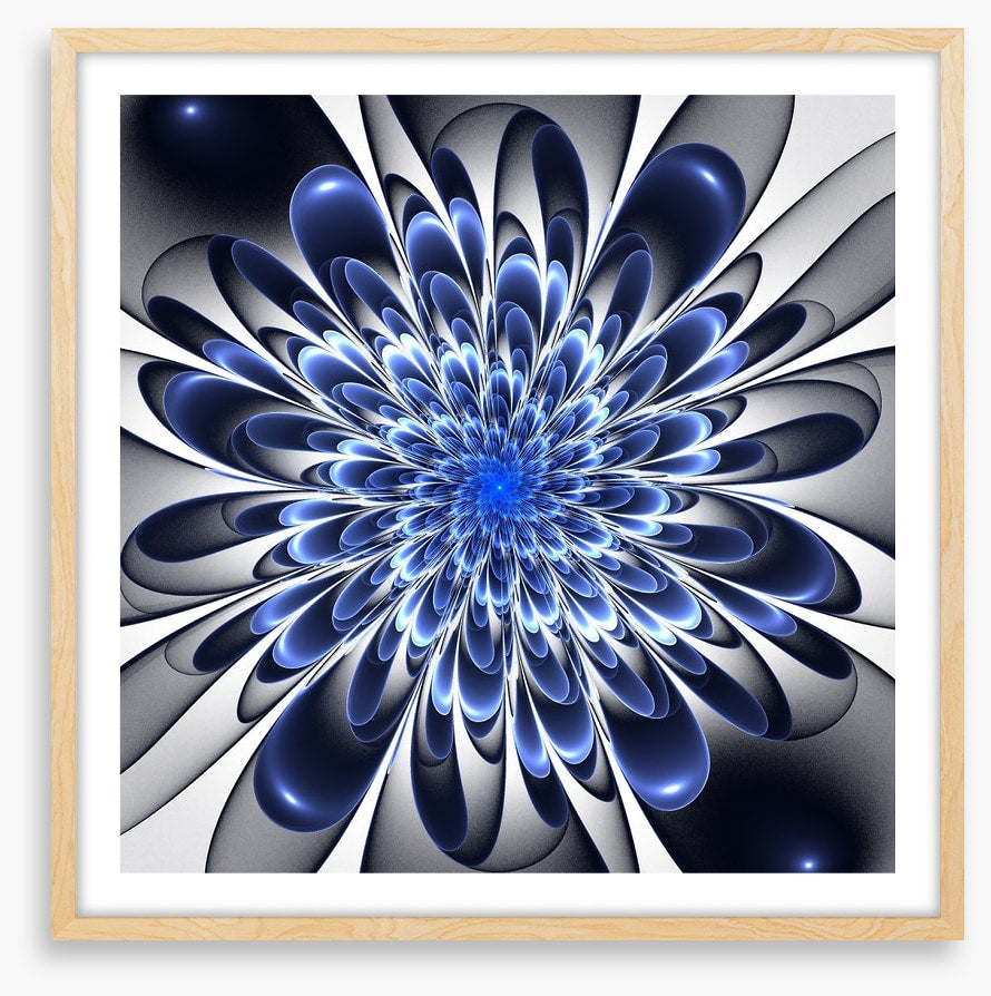 Starlight bloom