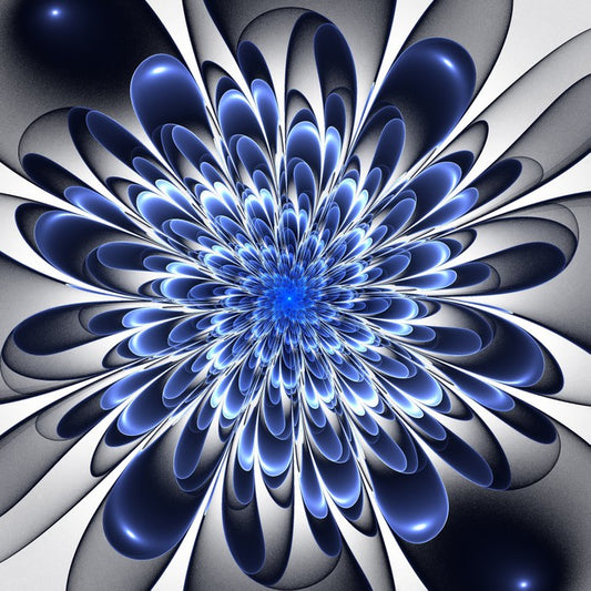 Starlight bloom