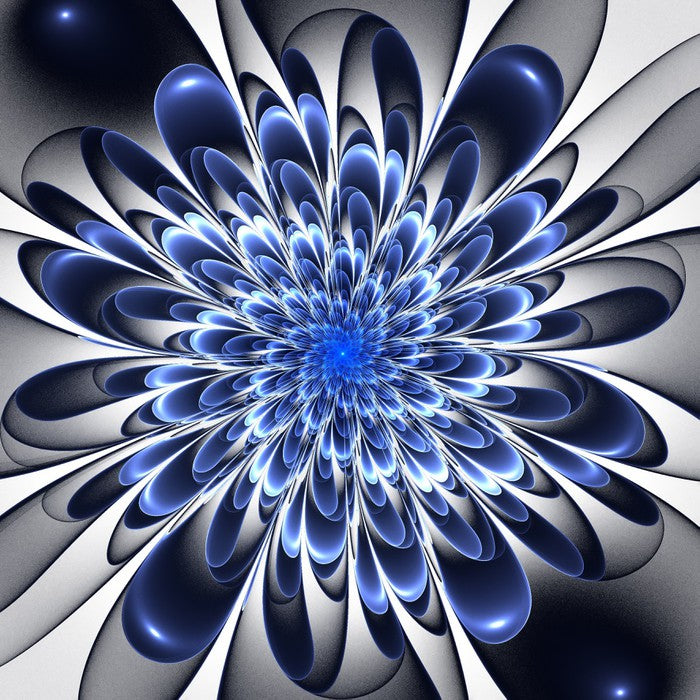 Starlight bloom
