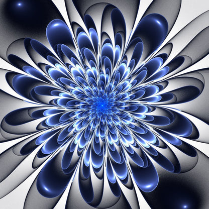 Starlight bloom