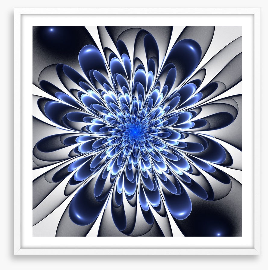 Starlight bloom