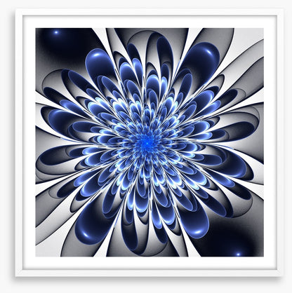 Starlight bloom