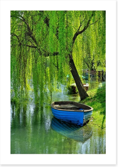 Boat under the willow