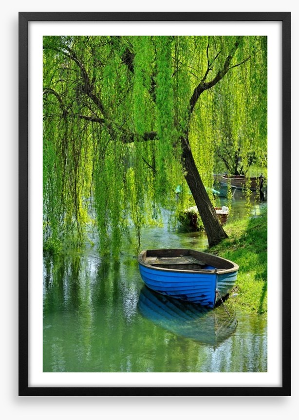 Boat under the willow