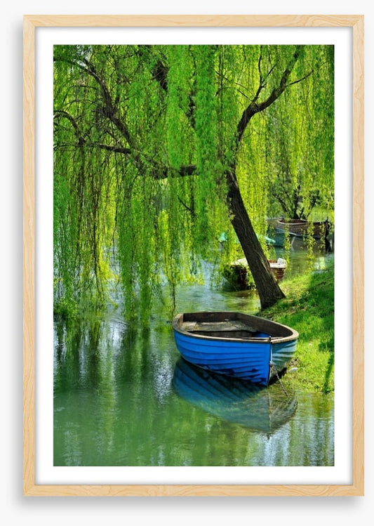 Boat under the willow