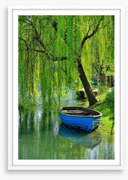 Boat under the willow